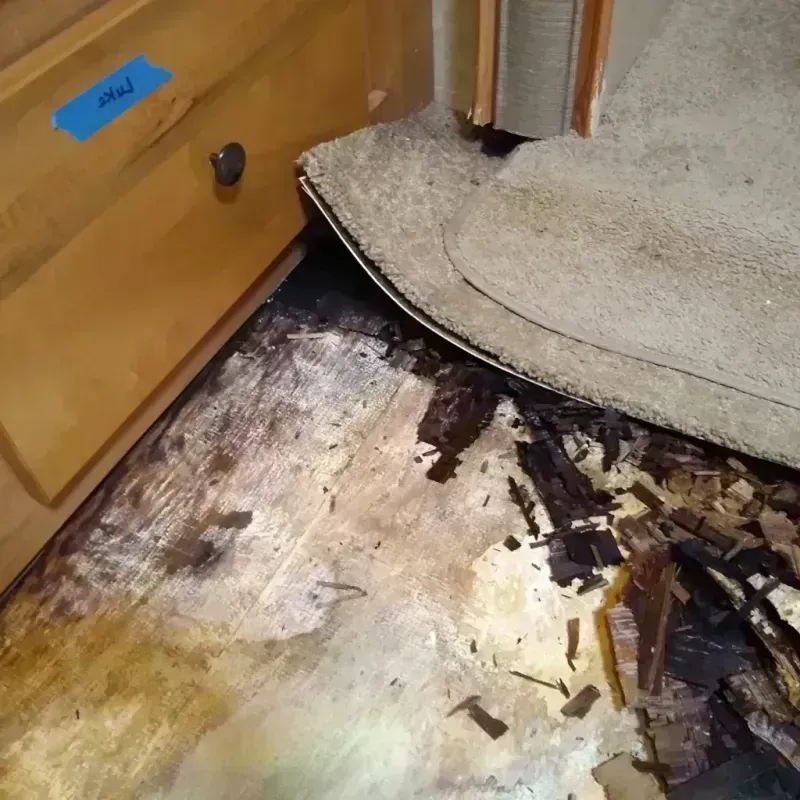 Wood Floor Water Damage in Sundown, TX